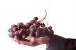 Hand with grape