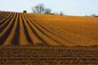 Ploughed field