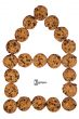 House of chocolate cookies