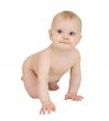 Infant crawl on a white background
