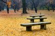 Bench in garden