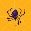 Spider with Web Background