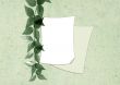 Two sheets of a paper