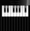 Vector illustration of piano keys
