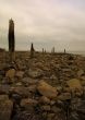 Wooden posts on a rocky beach