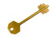 old golden key