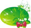 strawberry with leaves