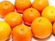 Group of tangerines