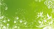 White flower ornament on a green background