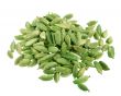 Cardamoms isolated