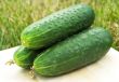 Green cucumber