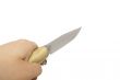 Knife in the hand (with clipping path)