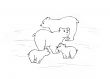 Arctic bears