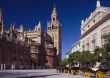 Giralda Cathedral,  Seville,  Spain