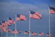 flags surrounding Washington Monument