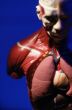 Medical Anatomy Model