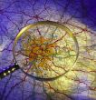 Magnifying Glass and Map