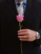 husband with Valentine`s Day pink rose