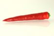 Red Pepper