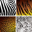 animal skin variation