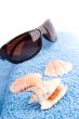 towel, shells, sunglasses