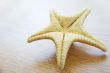 Sea star over background