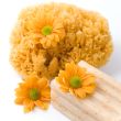 natural sponge, soap and flowers