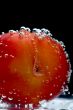 plum in water