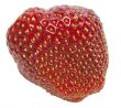 Fresh Isolated Strawberry