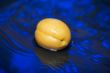apricot in the water closeup