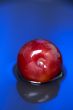 Plum in the water macro