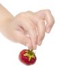 fresh tasty strawberry in human hands. icolated with clipping pa