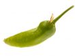 fresh green pepper. isolated with clippind path