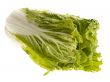 fresh tasty cabbage. isolated on white with clipping path