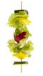 vegetarian kebab. fresh tasty vegetables with clipping path