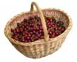 Magic basket with cherry. Isolated on white with clipping path