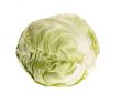 fresh tasty cabbage on white background. with clipping path