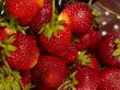 fresh tasty strawberry on to colander