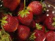 fresh tasty strawberry on to  colander