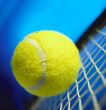 Tennis Ball and Racket