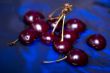 cherry on blue closeup