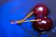 cherry on blue macro