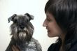 Schnauzer and its owner
