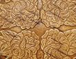 Bark of Birch