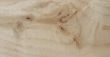 Fresh wooden texture. Background