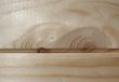Fresh wooden texture. Background