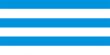 Tallinn Flag