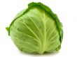 cabbage