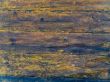 wood under water