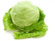 cabbage